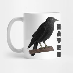 Raven lover Mug